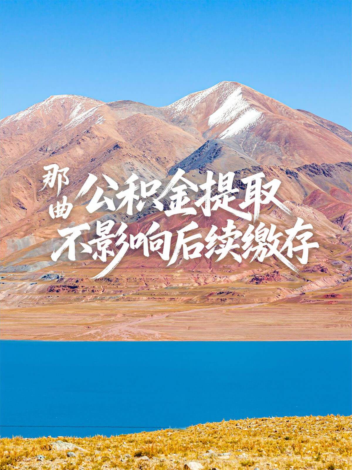 那曲公积金代办提取